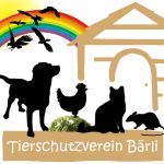 TSV Logo Neu transparent